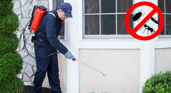 Çankaya Akrep İlaçlama böcek ilaçlama ve haşere kontrolü — ilaclama-tr.com